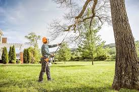 Best Aeration Services  in North Edwards, CA
