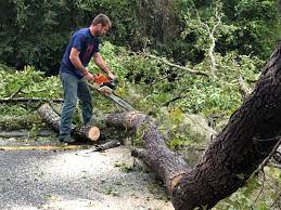 Best Lot and Land Clearing  in North Edwards, CA